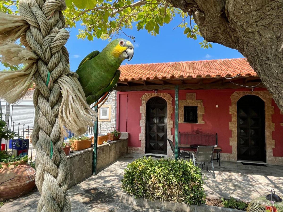 Terracotta Boutique Beach Studios Митимна Екстериор снимка